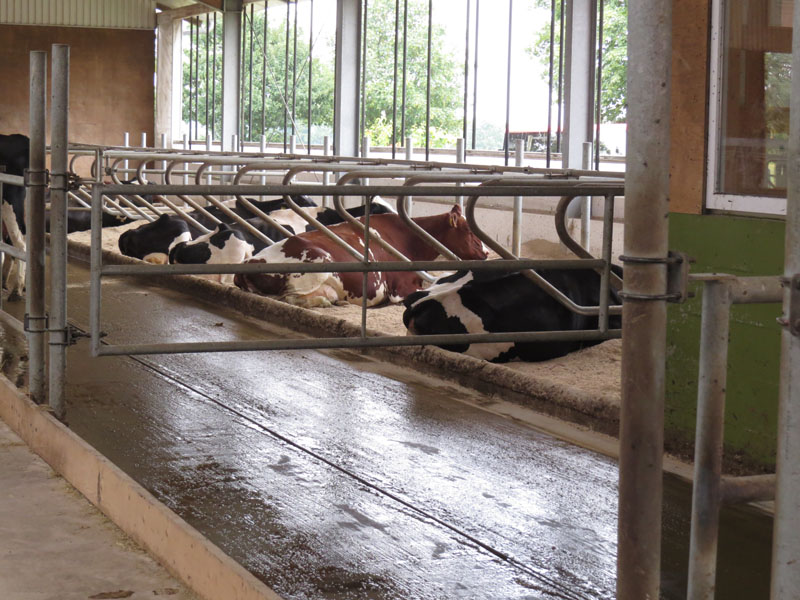 2016-bassum-buecken-0449