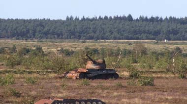 2018-wiese-panzer_3-w
