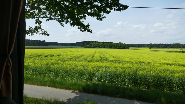 2018-walsrode-60176